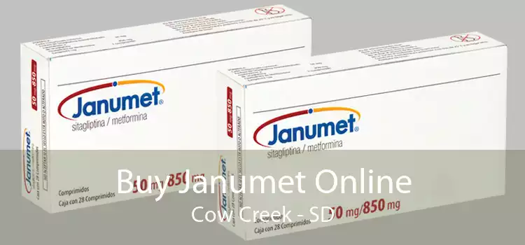 Buy Janumet Online Cow Creek - SD
